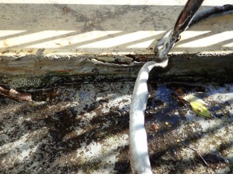 既存防水状況 P1290007